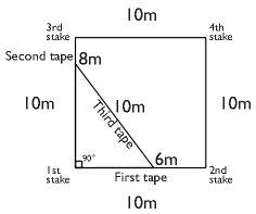 Quadrat Measurements
